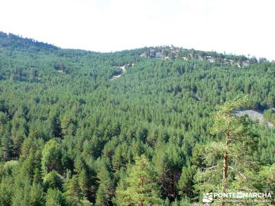 Tejera Navafria - Arroyo de los Tejos;río piedra bola del mundo navacerrada cultura viajes